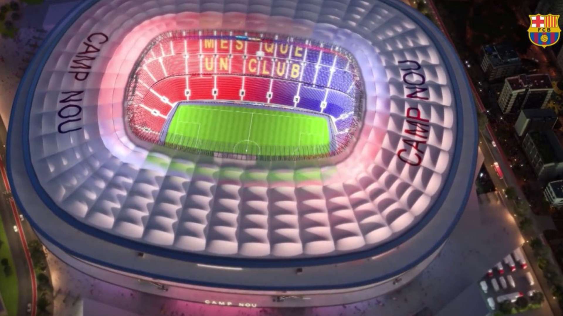 体育成功的 体育成功的